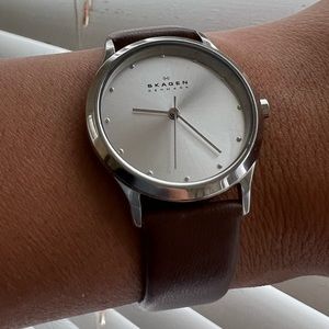Skagen Denmark Silver and Brown Watch